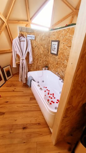 Chambre dôme sous les étoiles à Aizenay