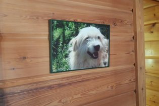 Dodôme étoilé : Dôme en Midi-Pyrénées (Occitanie) – photo 20 sur 20