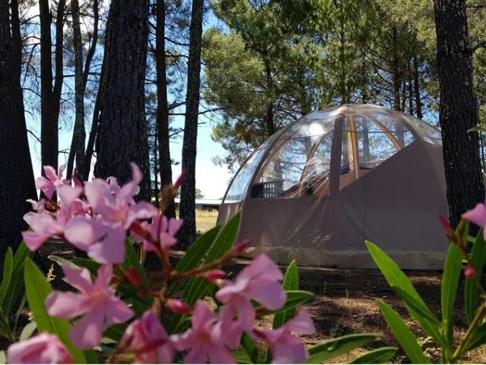 Bulle Étoile d'Ardèche - Bulle pour quatre au camping Hello Soleil (Lablachère, Ardèche) - cadre naturel Ardèche