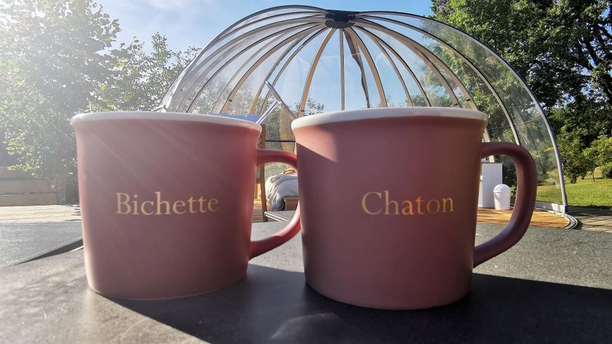 Dôme Céleste : Dôme en Poitou-Charentes (Nouvelle Aquitaine) – photo 6 sur 16