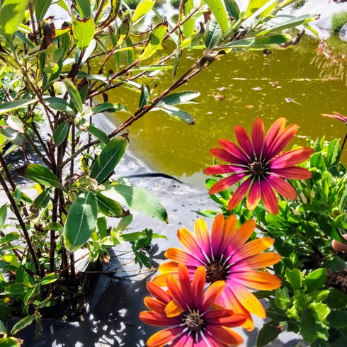 Lin pour l'autre & Spa : Dôme en Haute-Normandie (Normandie) – photo 14 sur 17