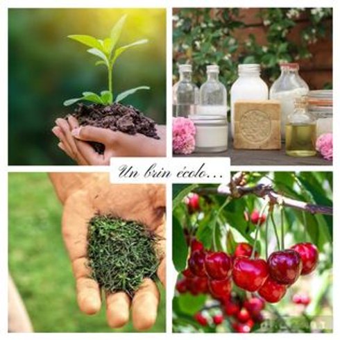 Lin pour l'autre & Spa : Dôme en Haute-Normandie (Normandie) – photo 15 sur 17