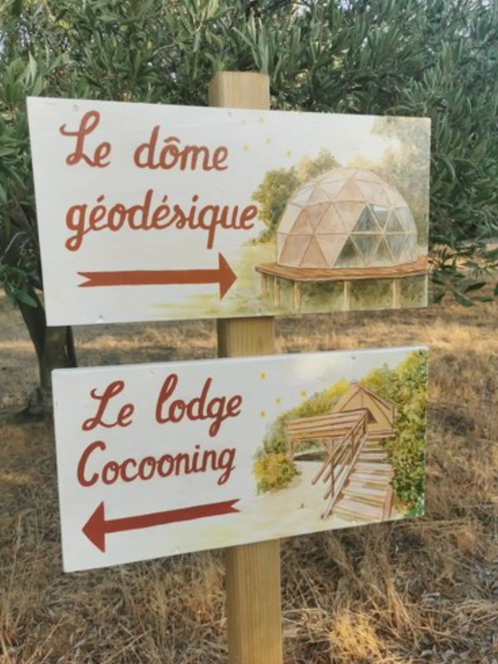 Le Dôme géodésique : Dôme en Languedoc-Roussillon (Occitanie) - photo 7 sur 16