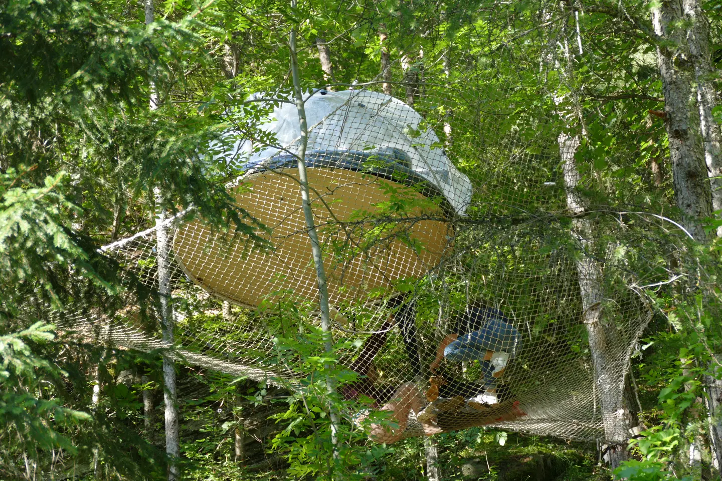 Crazy Bulle - Bulle perchée dans les arbres (Le Lauzet-Ubaye, Alpes-de-Haute-Provence) - photo 6 sur 20