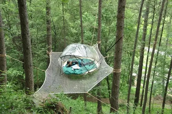 Crazy Bulle - Bulle perchée dans les arbres (Le Lauzet-Ubaye, Alpes-de-Haute-Provence) - photo 15 sur 20