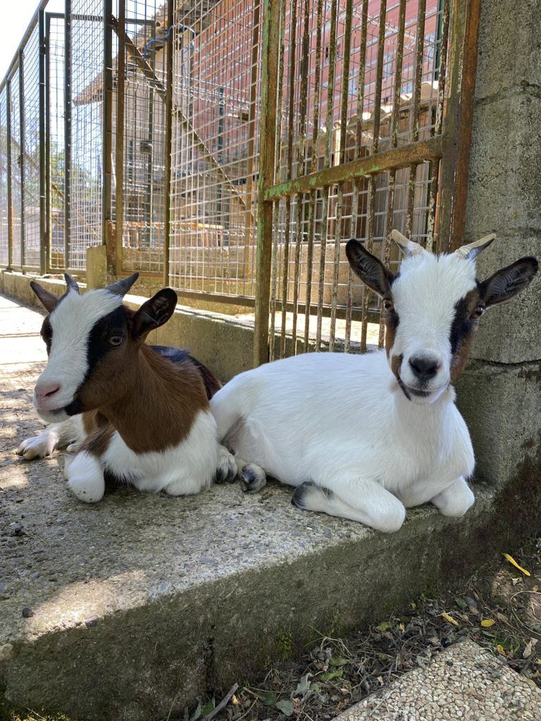 Dans ma Bulle & Spa – photo 14 sur 15