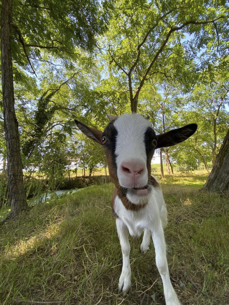 Dans ma Bulle & Spa – photo 15 sur 15