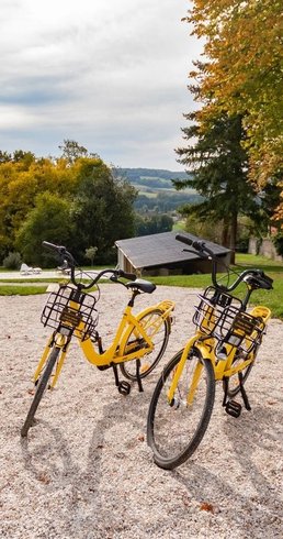 Le Dôme Tanière du renard : Dôme en Champagne-Ardenne (Grand Est) – photo 13 sur 20