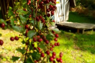 Dôme Etoilé : Dôme en Bretagne – photo 9 sur 10