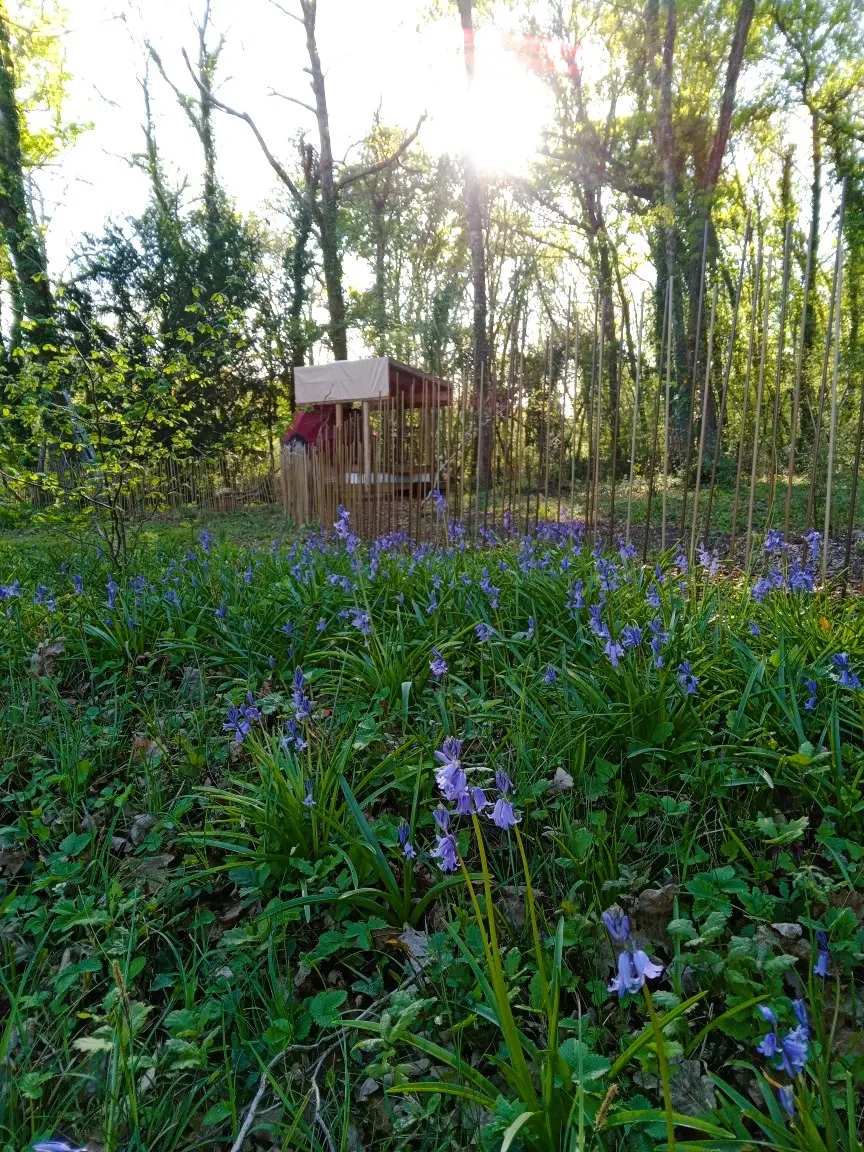 Dodôme étoilé - Dôme étoilé dans un parc du Médoc (Saint-Germain-d'Esteuil, Gironde) - photo 9 sur 14