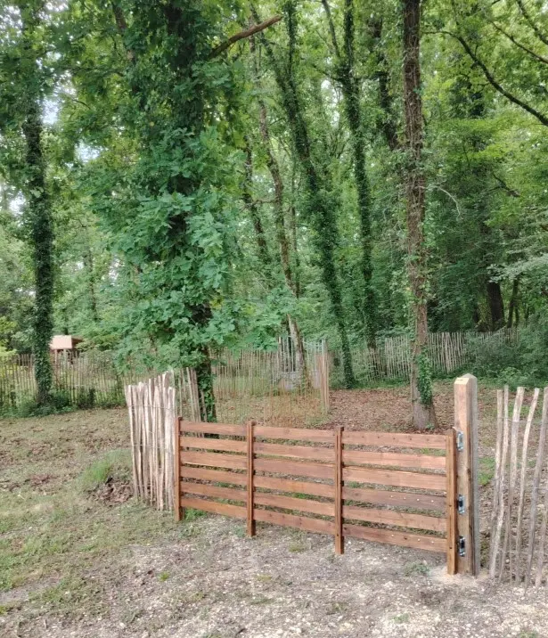 Dodôme étoilé - Dôme étoilé dans un parc du Médoc (Saint-Germain-d'Esteuil, Gironde) - photo 13 sur 14