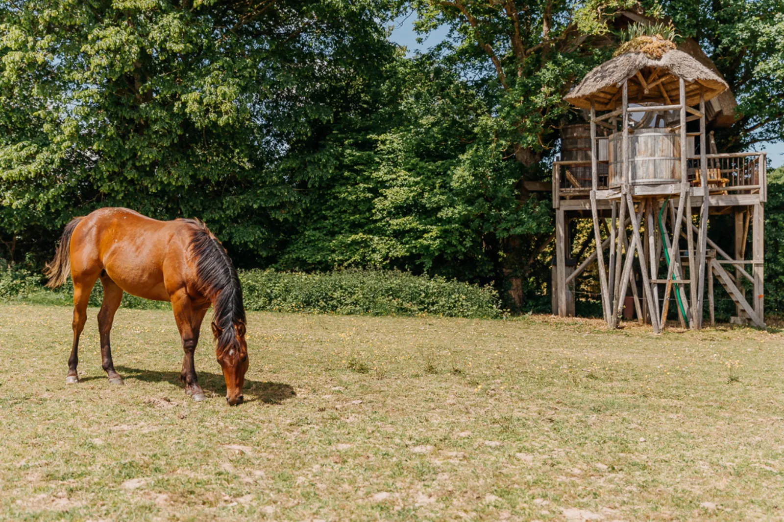 Domaine Arvor un coin de paradis - photo 6 sur 40