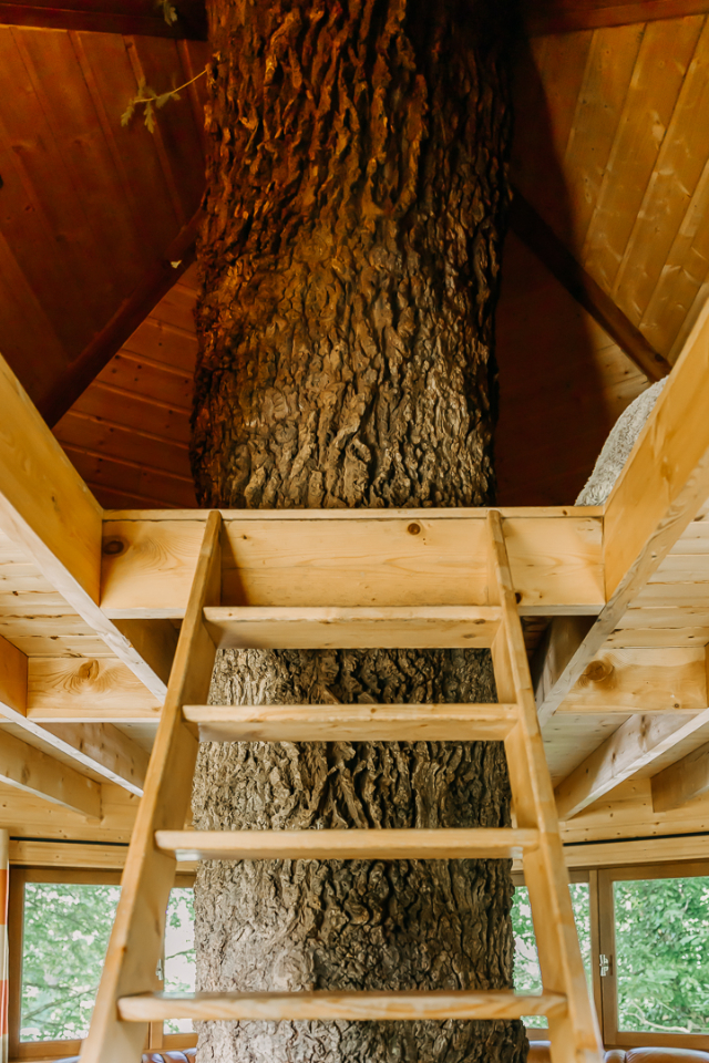 Domaine Arvor un coin de paradis – photo 34 sur 40