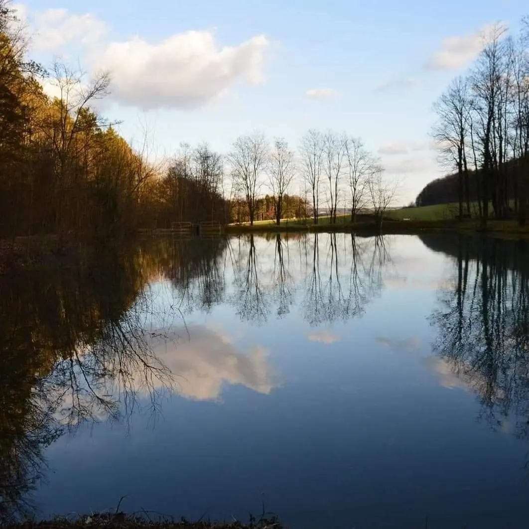 Domaine de l'étang - Chalet et bulle nature avec bain nordique (Soncourt-sur-Marne, Haute-Marne) - cadre naturel Haute-Marne