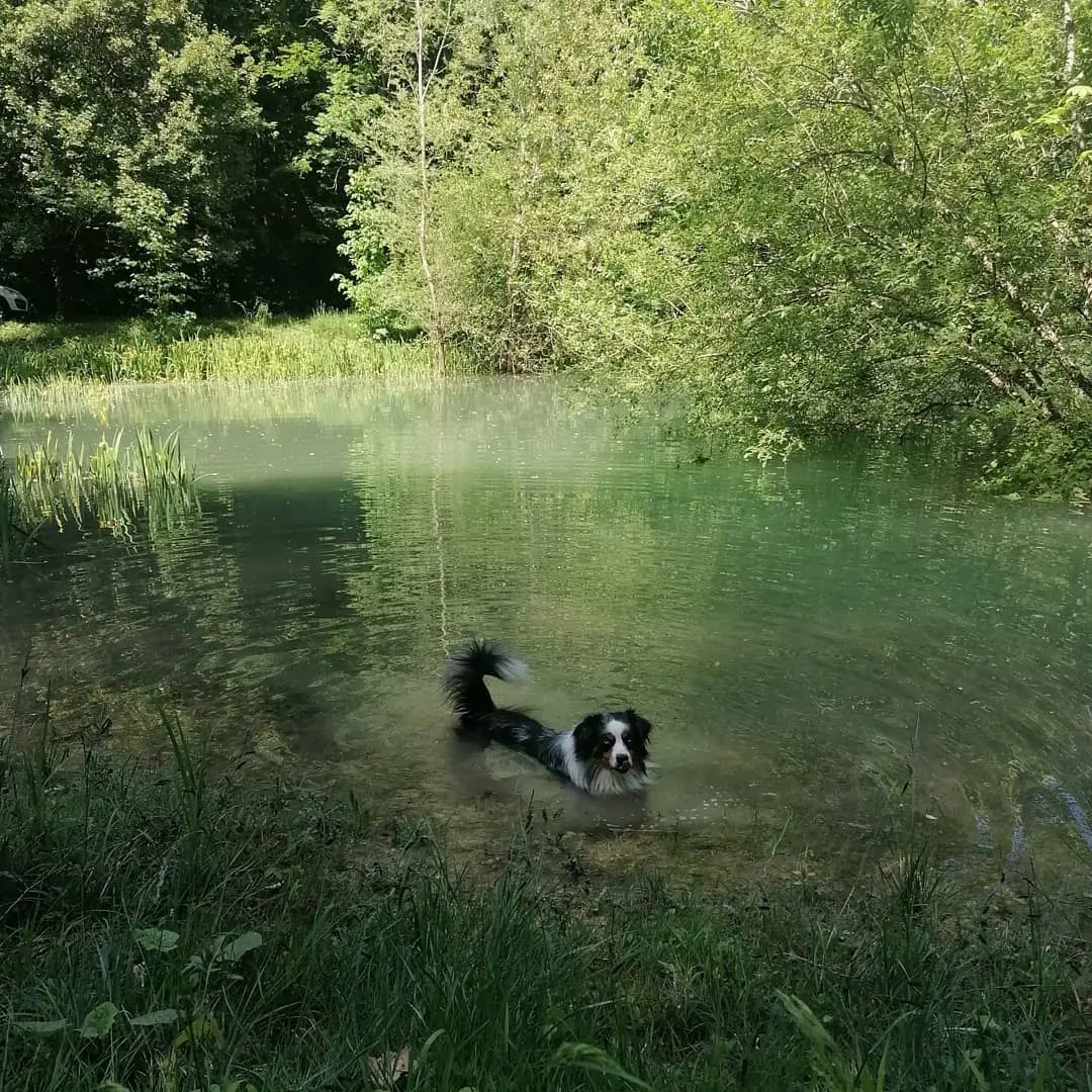 Domaine de l'étang - Chalet et bulle nature avec bain nordique (Soncourt-sur-Marne, Haute-Marne) - photo 12 sur 70