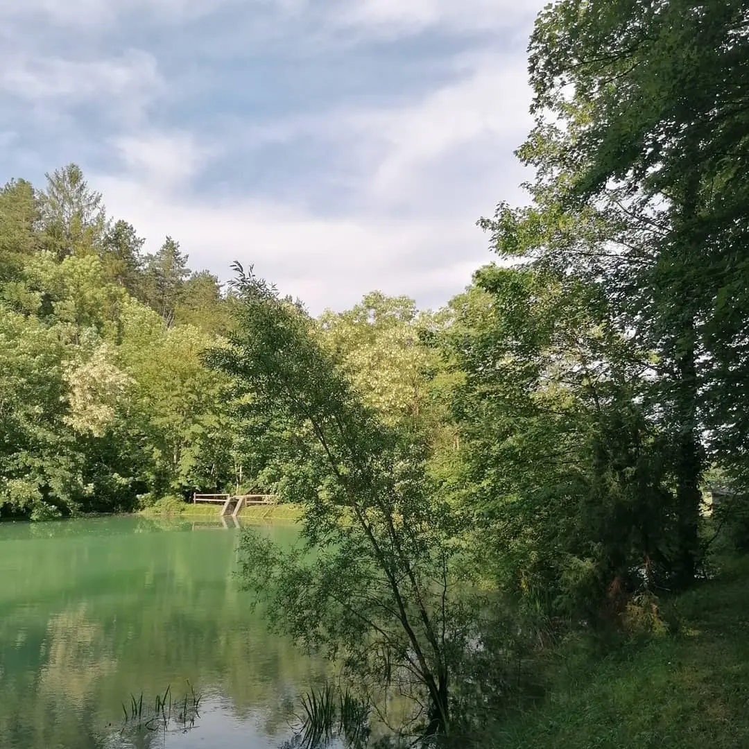 Domaine de l'étang - Chalet et bulle nature avec bain nordique (Soncourt-sur-Marne, Haute-Marne) - photo 13 sur 70