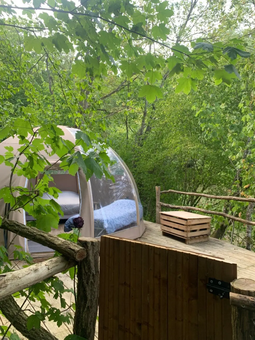 Domaine de l'étang - Chalet et bulle nature avec bain nordique (Soncourt-sur-Marne, Haute-Marne) - photo 66 sur 70