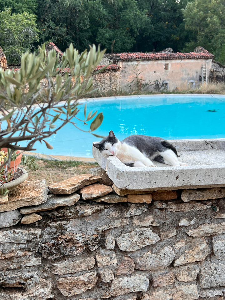 Chambre bulle sous les étoiles à Duravel