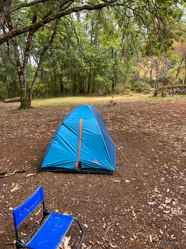 Domaine de Mombret Haut – photo 6 sur 13