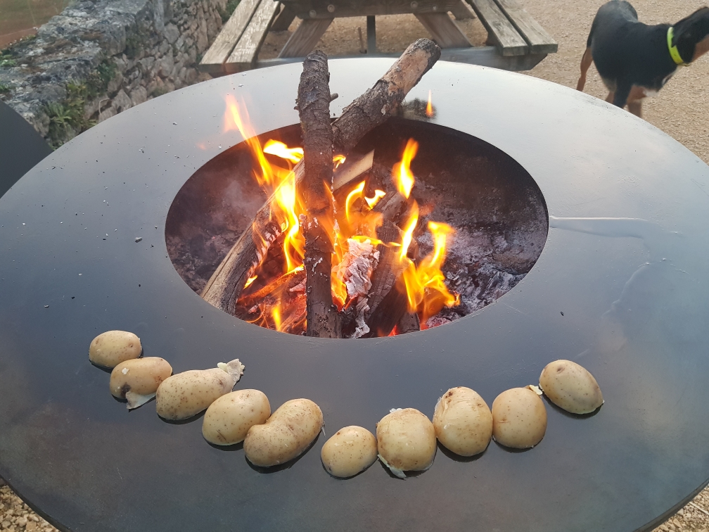 Domaine de Mombret Haut – photo 13 sur 13