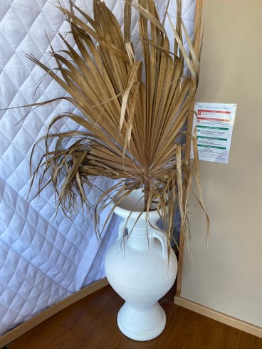 Zingarabella : Dôme en Corse – cadre naturel Corse-du-Sud