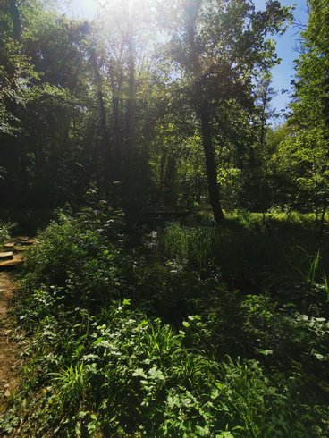 Dôme Stella & Spa : Dôme en Champagne-Ardenne (Grand Est) – photo 14 sur 22