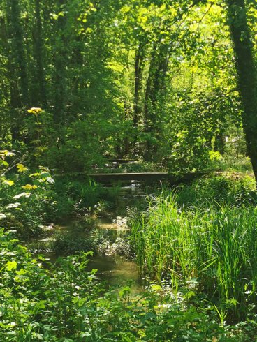 Dôme Stella & Spa : Dôme en Champagne-Ardenne (Grand Est) – photo 15 sur 22