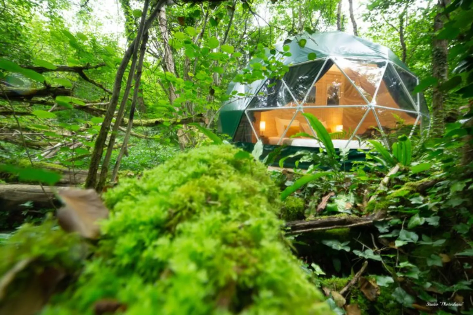Géode Chêne Emeraude : Dôme en Aquitaine (Nouvelle Aquitaine) - cadre naturel Gironde