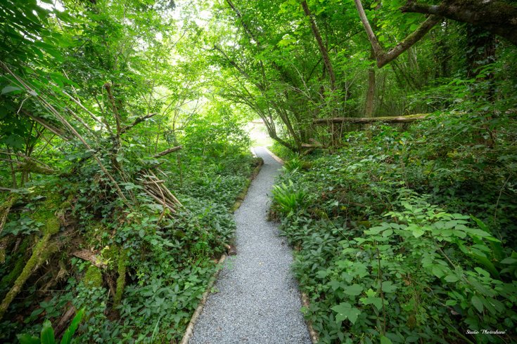 Géode Chêne Emeraude : Dôme en Aquitaine (Nouvelle Aquitaine) – photo 11 sur 18