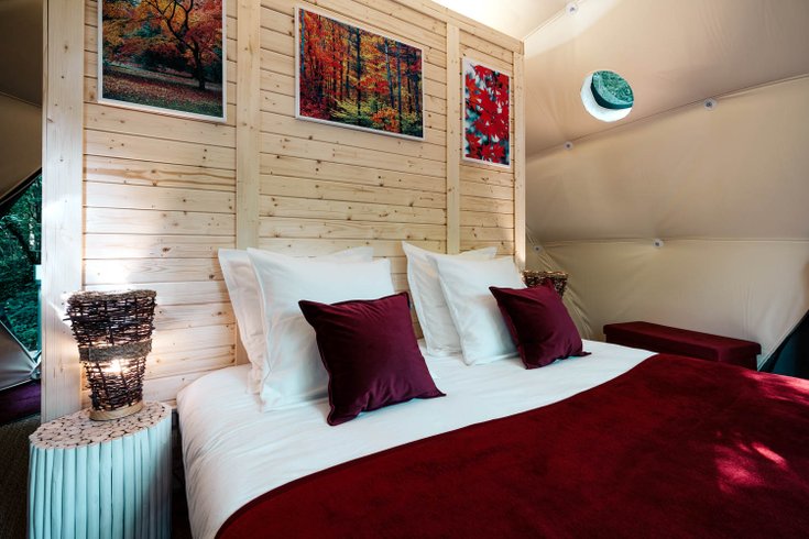 Géode Erable Pourpre : Dôme en Aquitaine (Nouvelle Aquitaine) – photo 7 sur 27