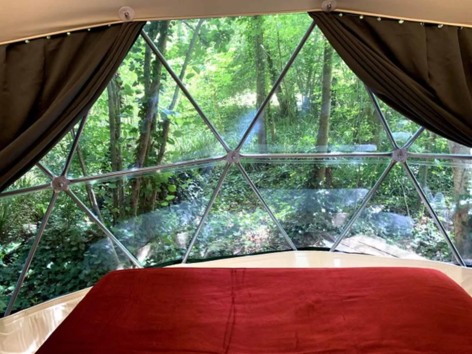 Géode Erable Pourpre : Dôme en Aquitaine (Nouvelle Aquitaine) - photo 8 sur 27