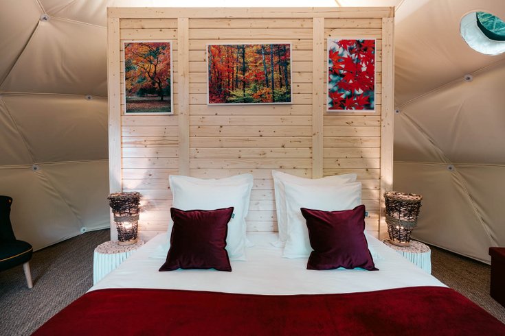 Géode Erable Pourpre : Dôme en Aquitaine (Nouvelle Aquitaine) – photo 9 sur 27