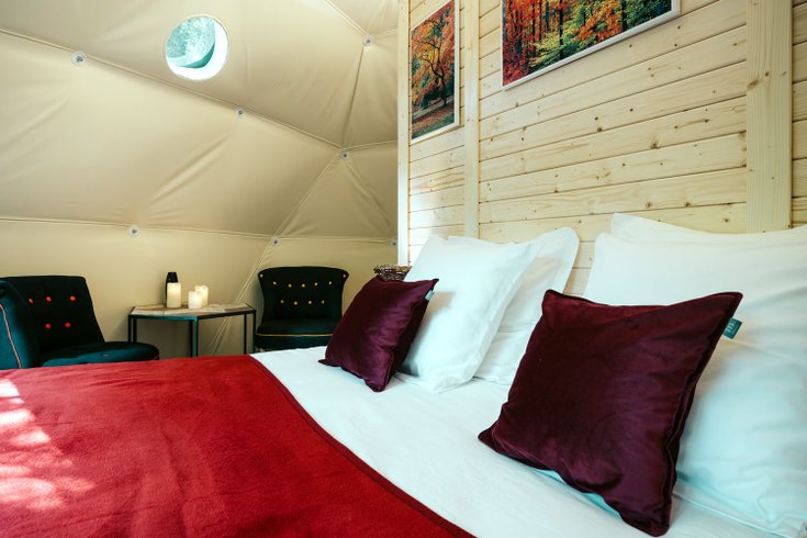 Géode Erable Pourpre : Dôme en Aquitaine (Nouvelle Aquitaine) – photo 11 sur 27