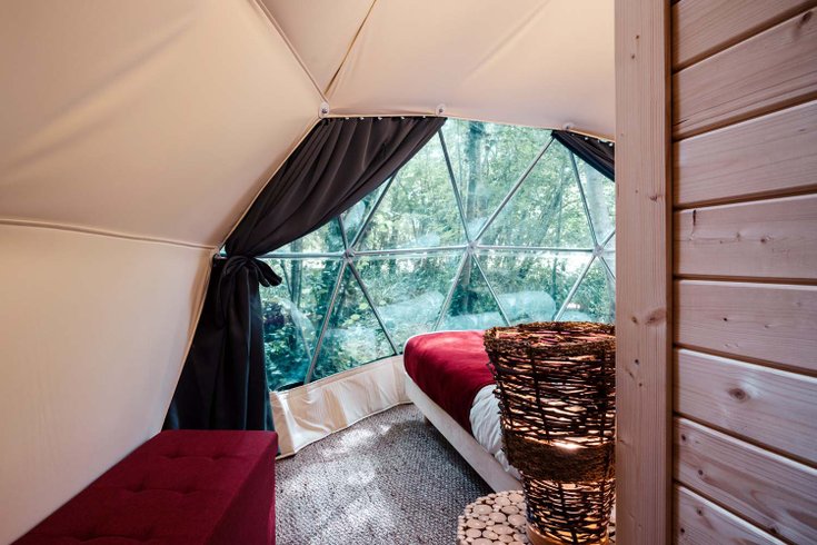 Géode Erable Pourpre : Dôme en Aquitaine (Nouvelle Aquitaine) – photo 12 sur 27