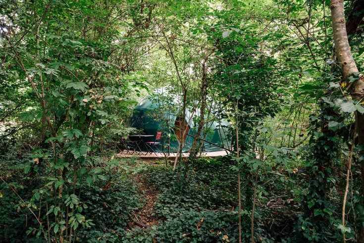 Géode Erable Pourpre : Dôme en Aquitaine (Nouvelle Aquitaine) – photo 17 sur 27