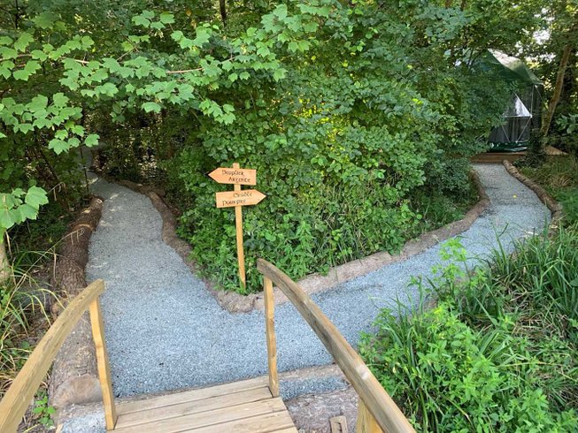 Géode Erable Pourpre : Dôme en Aquitaine (Nouvelle Aquitaine) – photo 19 sur 27