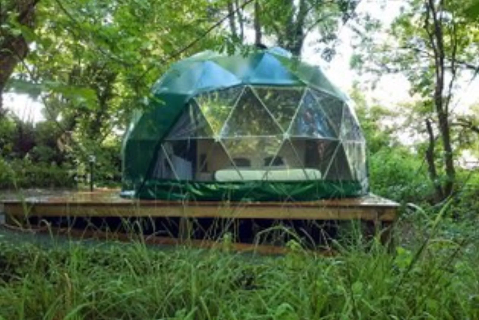 Géode Erable Pourpre : Dôme en Aquitaine (Nouvelle Aquitaine) - photo 24 sur 27