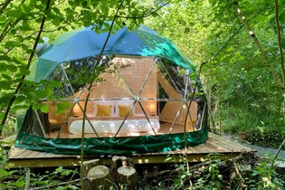 Géode Erable Pourpre : Dôme en Aquitaine (Nouvelle Aquitaine) – photo 25 sur 27
