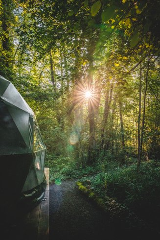 Géode Frêne Doré : Dôme en Aquitaine (Nouvelle Aquitaine) – photo 12 sur 20