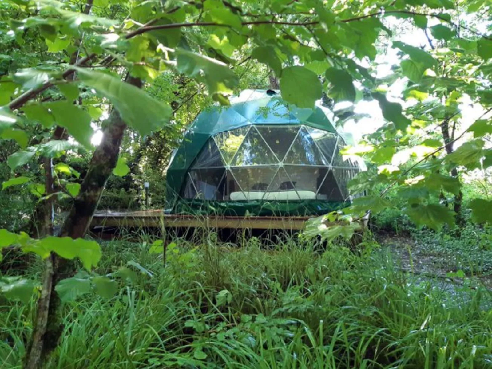 Chambre dôme sous les étoiles à Lugaignac