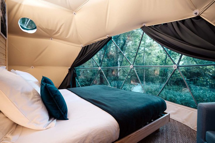 Géode Peuplier Argenté : Dôme en Aquitaine (Nouvelle Aquitaine) – photo 6 sur 25