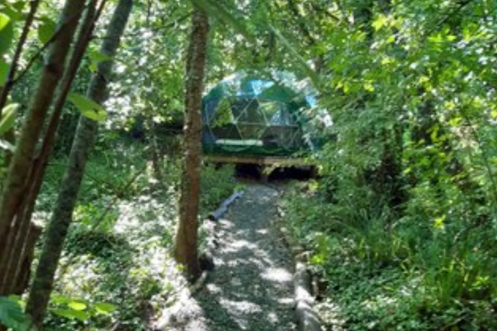 Géode Peuplier Argenté : Dôme en Aquitaine (Nouvelle Aquitaine) - photo 24 sur 25