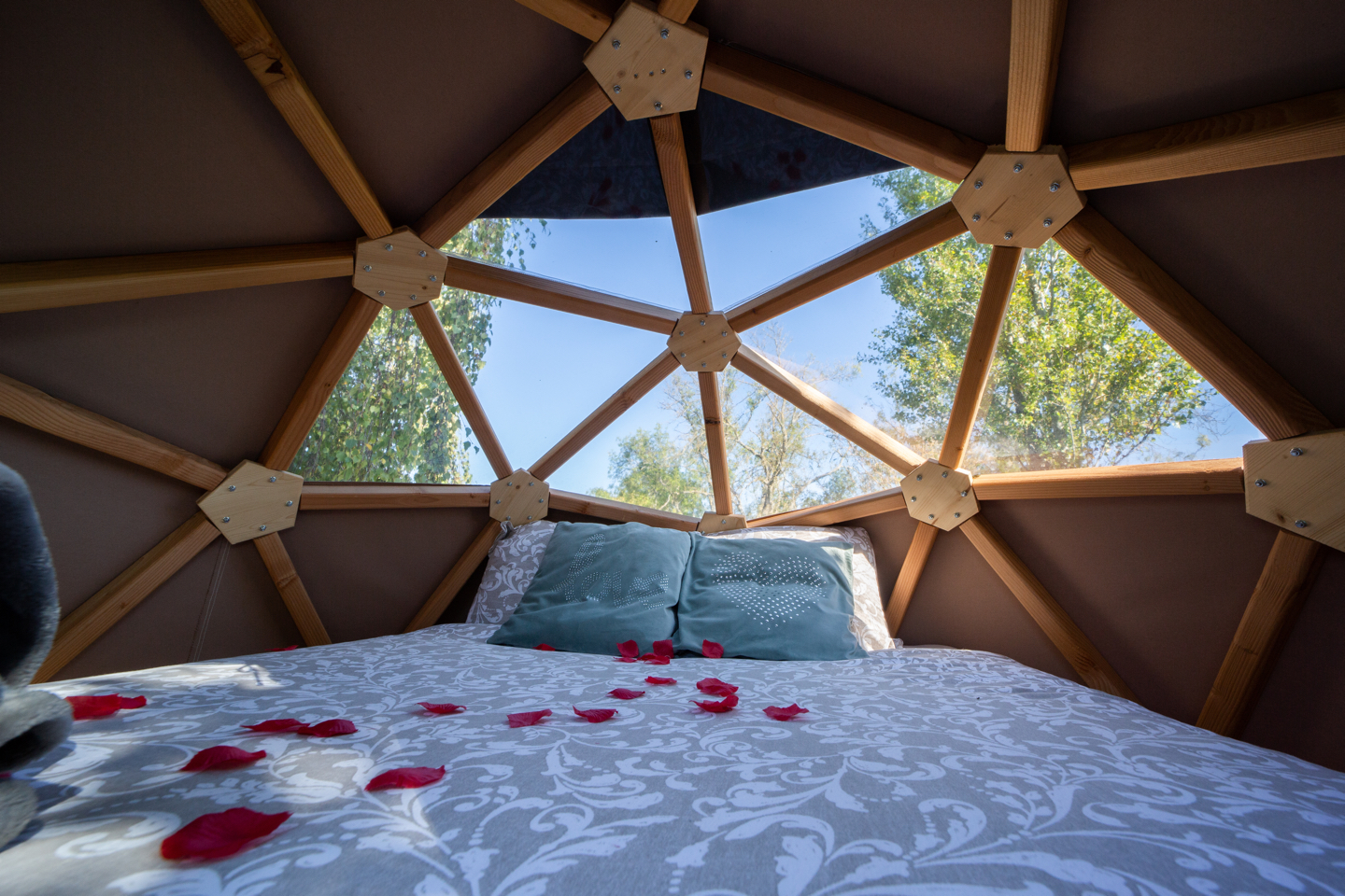 Chambre bulle sous les étoiles à Gravon