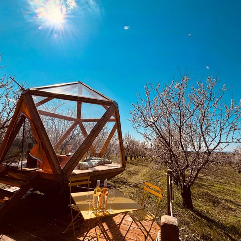 Chambre dôme sous les étoiles à Valensole
