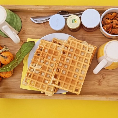 La bulle Ico : Dôme en Provence-Alpes-Côte d'Azur – photo 11 sur 20