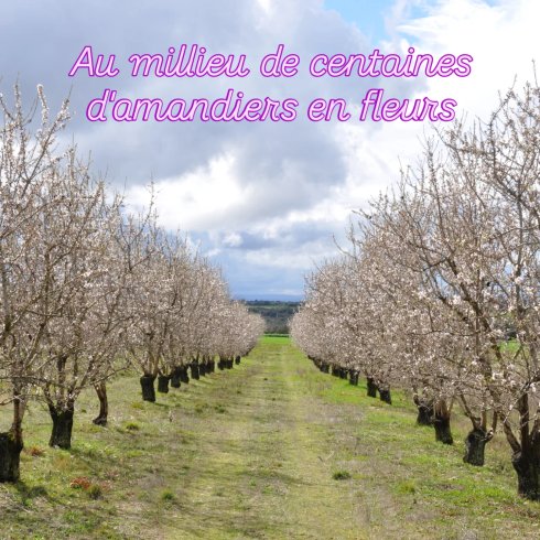 La bulle Ico : Dôme en Provence-Alpes-Côte d'Azur – photo 12 sur 20