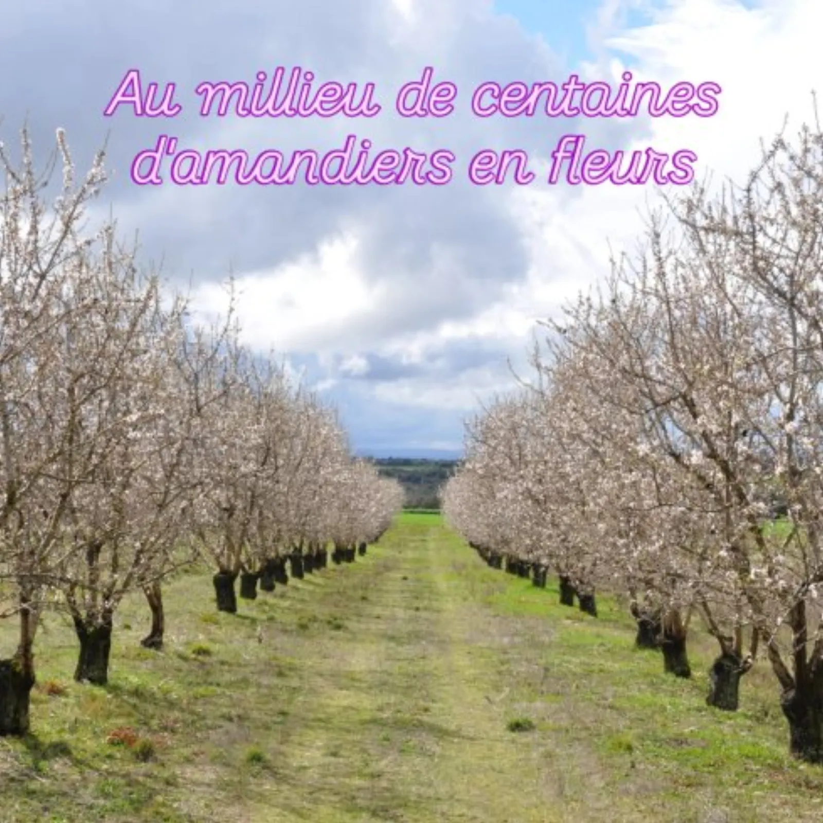 La bulle Ico : Dôme en Provence-Alpes-Côte d'Azur - photo 12 sur 20