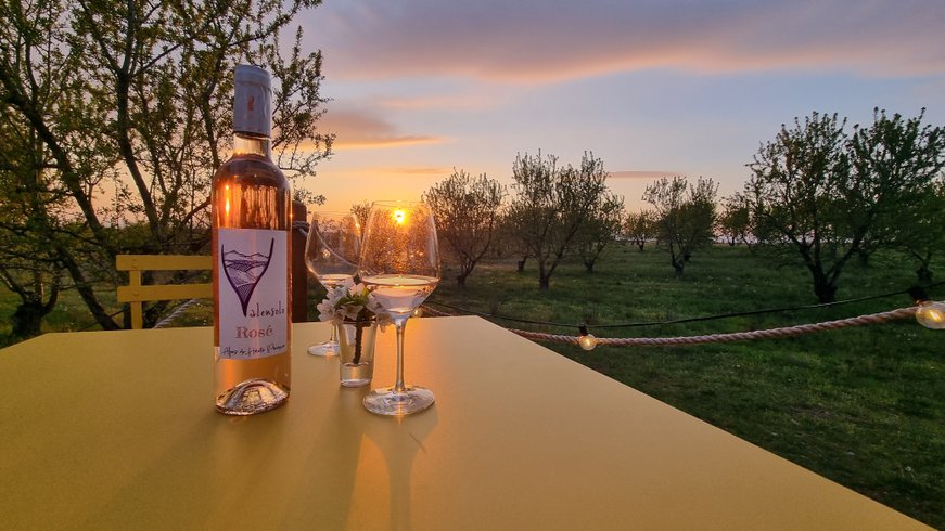 La bulle Ico : Dôme en Provence-Alpes-Côte d'Azur – photo 15 sur 20