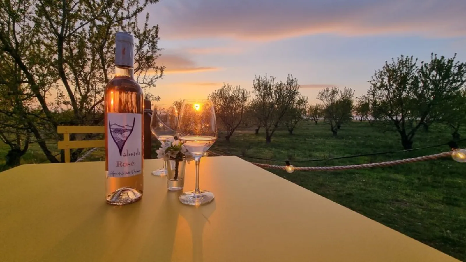 La bulle Ico : Dôme en Provence-Alpes-Côte d'Azur - photo 15 sur 20