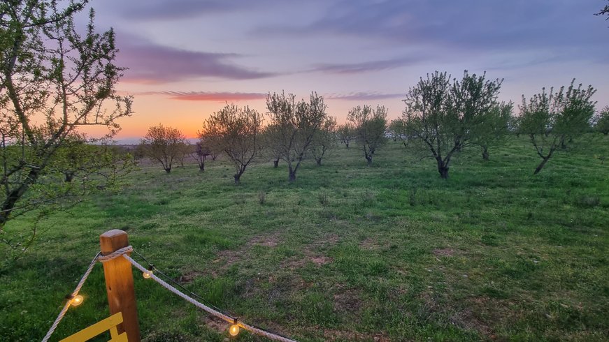 La bulle Ico : Dôme en Provence-Alpes-Côte d'Azur – photo 16 sur 20